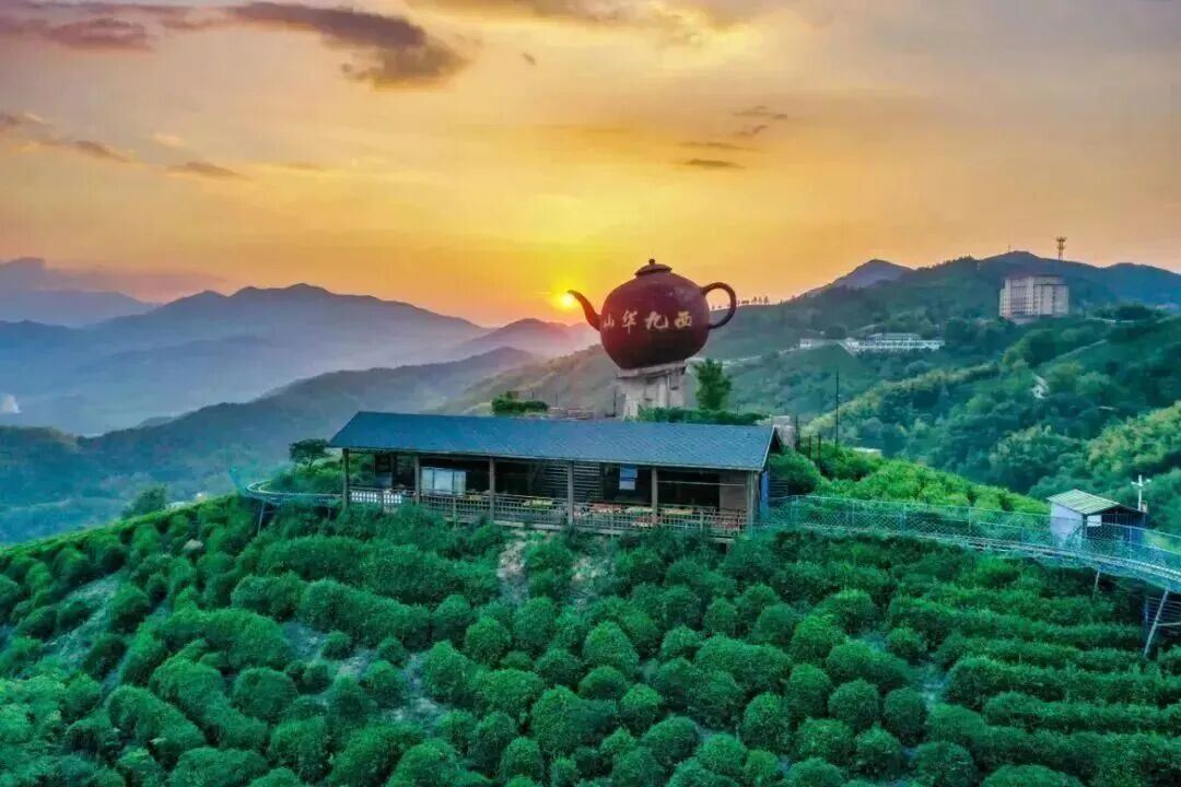 来河南体验“飞驰人生”！