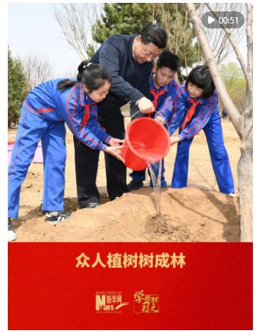 学而时习之｜众人植树树成林
