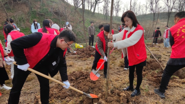 驻马店市邮政分公司开展&ldquo;手植一棵树 绿化一片天&rdquo;义务植树活动