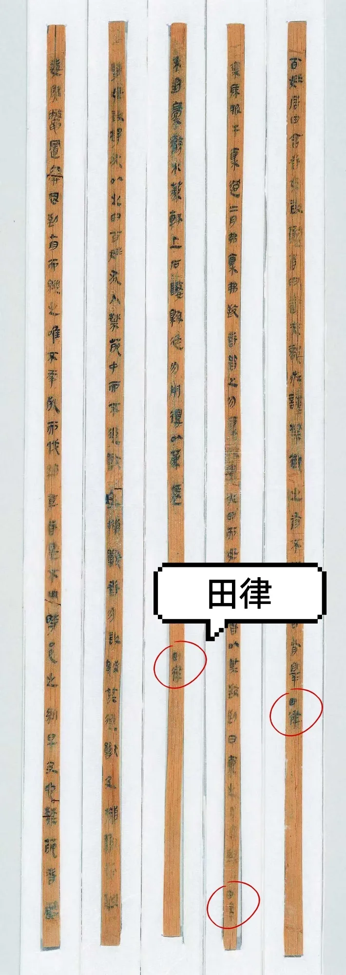 文博日历丨2000多年前的“生态保护法”刻在了竹简上