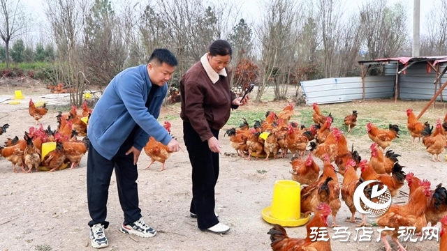 【第一书记话振兴】郑俊：让土特产“触电” 让村集体“增厚”