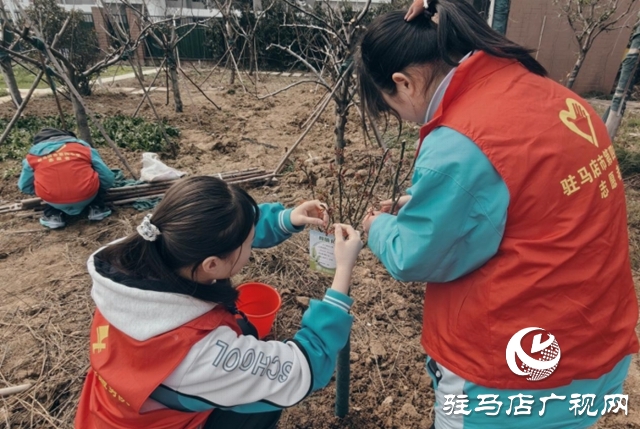 驻马店市第四中学开展植树节志愿服务活动