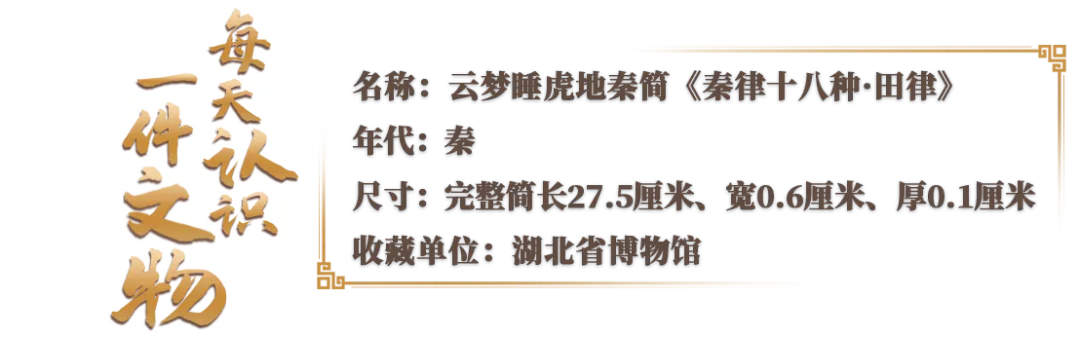 文博日历丨2000多年前的“生态保护法”刻在了竹简上