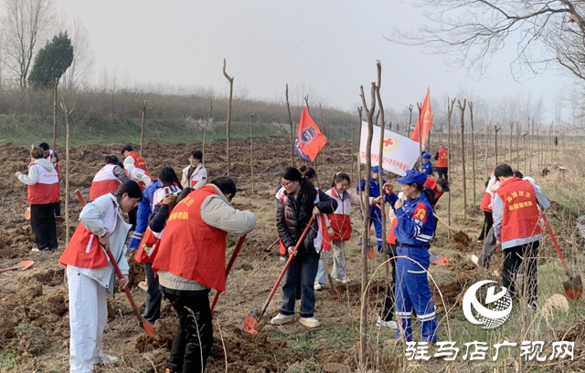 驿城区：挥锹培土播新绿 志愿精神扎根“驿城好人林”