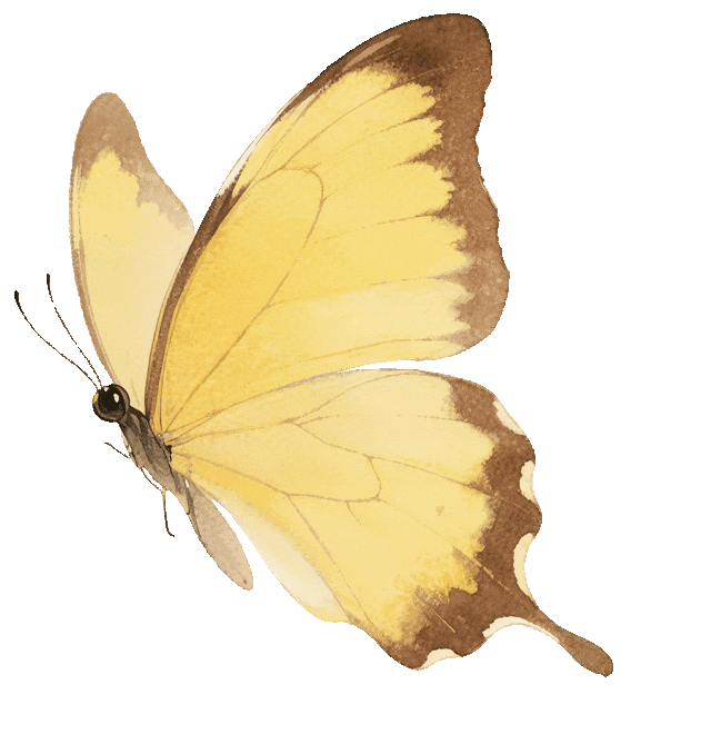 河南驻马店春日食鲜指南：这些野菜，才是春天该有的味道