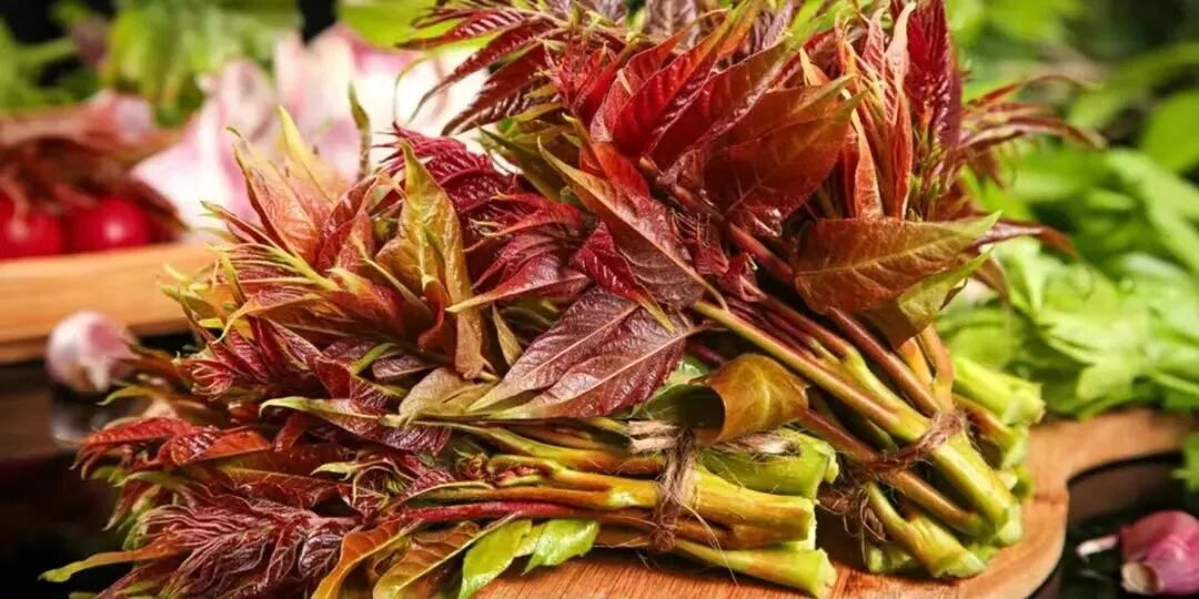 河南驻马店春日食鲜指南：这些野菜，才是春天该有的味道