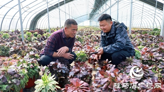 【第一书记话振兴】郑俊：让土特产“触电” 让村集体“增厚”