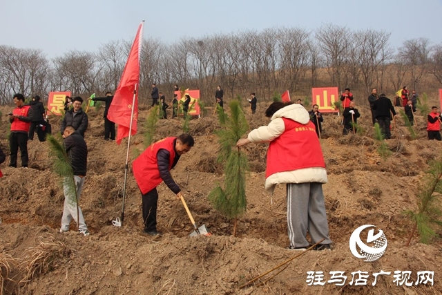 确山县：春潮涌动植新绿