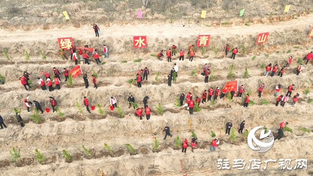 确山县：春潮涌动植新绿