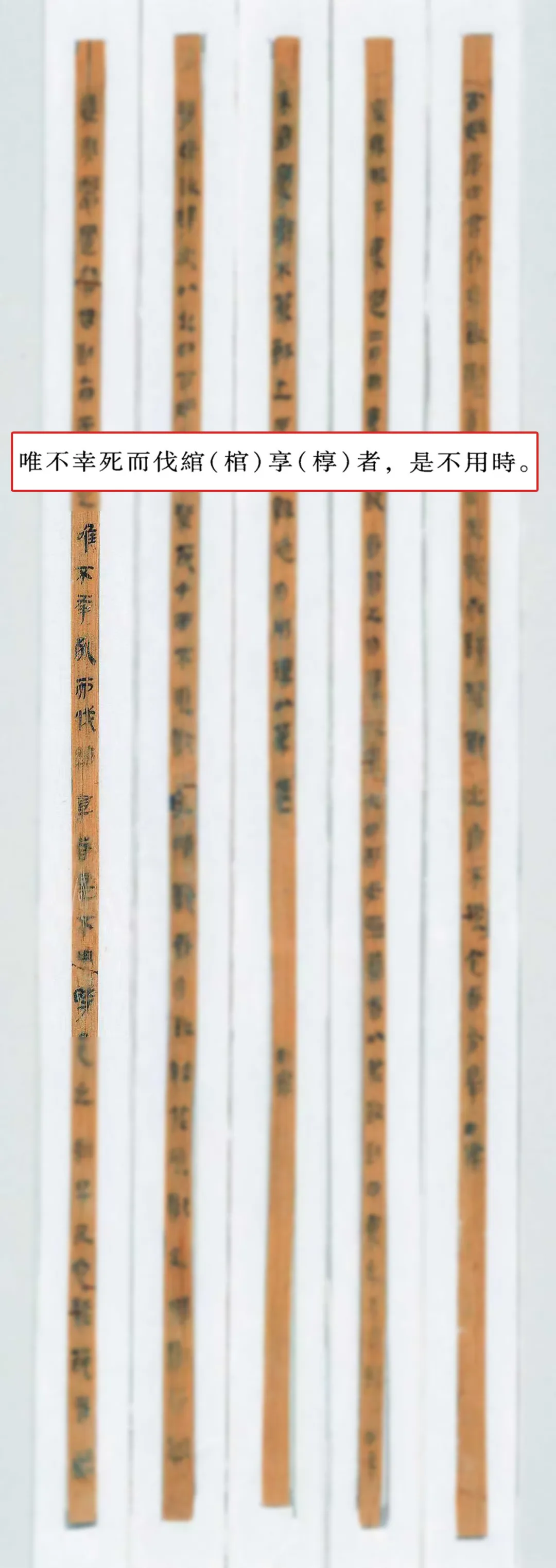 文博日历丨2000多年前的“生态保护法”刻在了竹简上