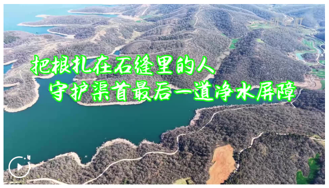 把根“扎”在石缝里的人