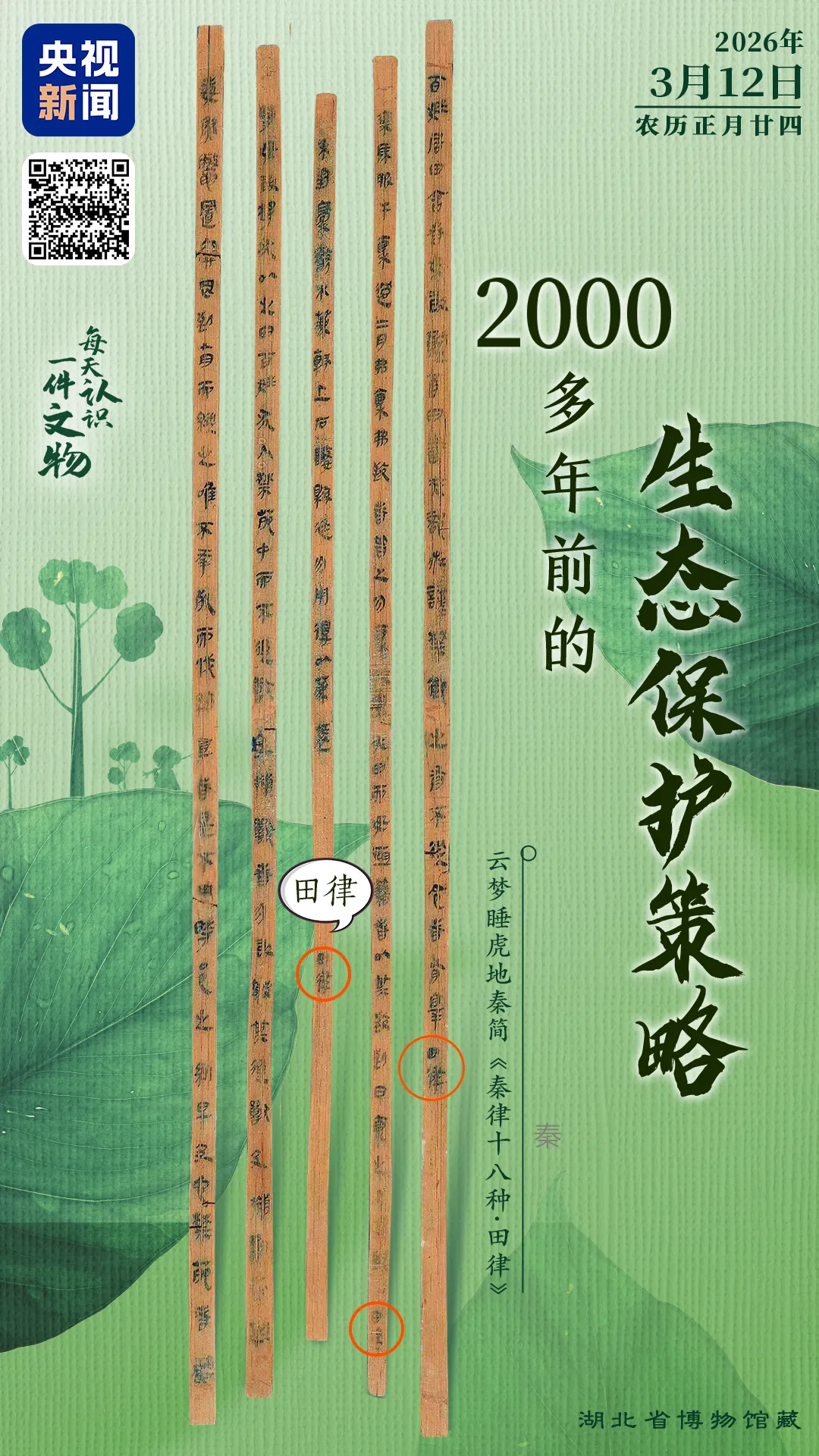 文博日历丨2000多年前的“生态保护法”刻在了竹简上