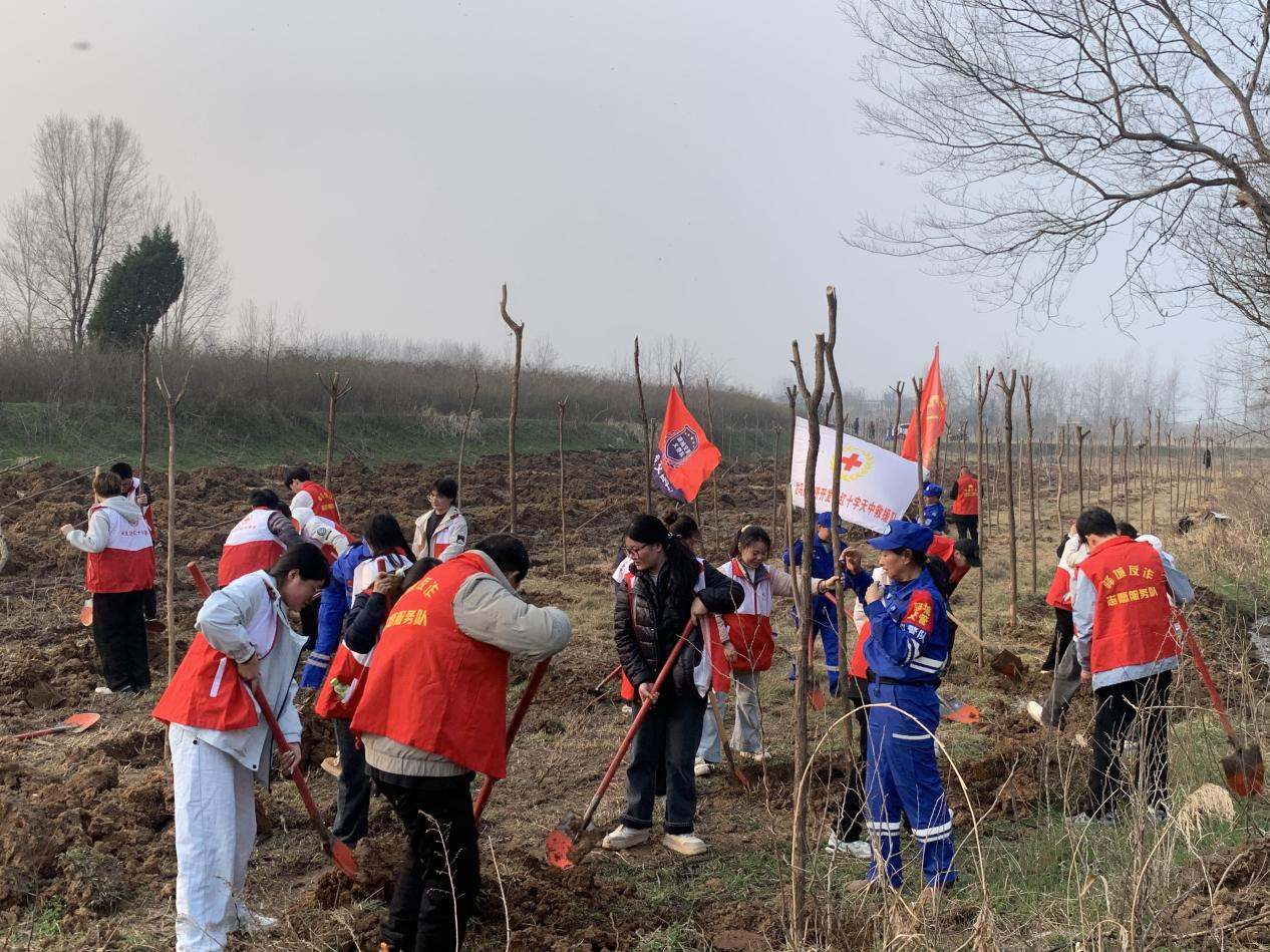 驿城区：挥锹培土播新绿 志愿精神扎根“驿城好人林”