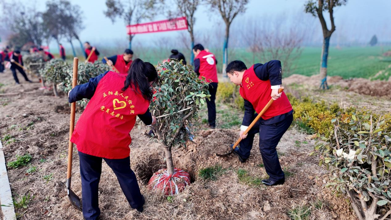 正阳县检察院：植树添新绿 履职护青山