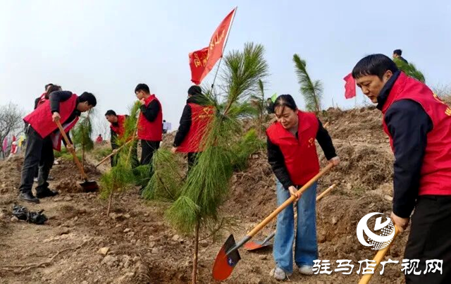确山：又是一年植树时