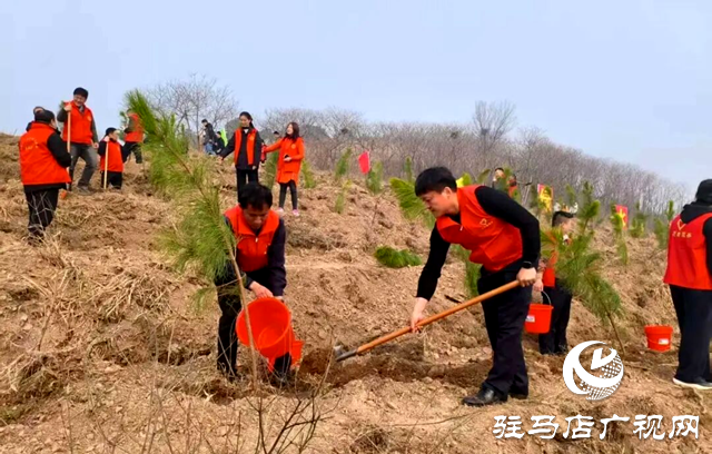 确山：又是一年植树时