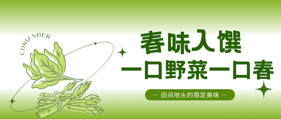 河南驻马店春日食鲜指南：这些野菜，才是春天该有的味道