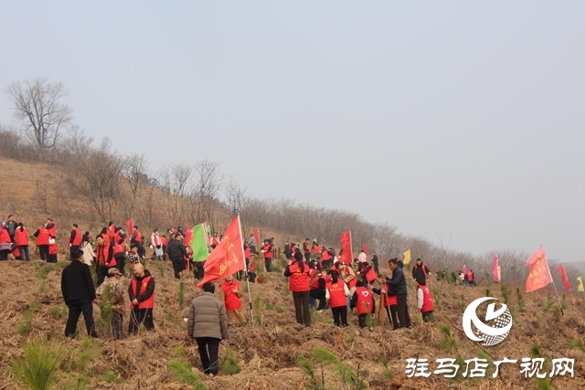 确山县：春潮涌动植新绿