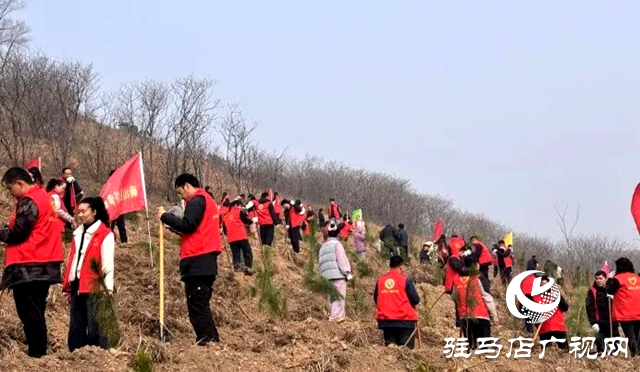 确山：又是一年植树时
