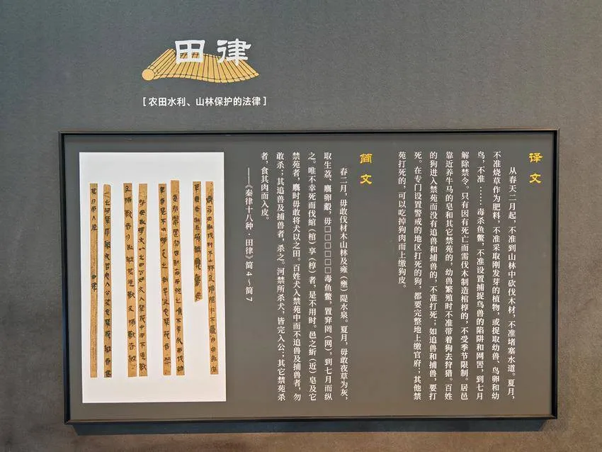文博日历丨2000多年前的“生态保护法”刻在了竹简上