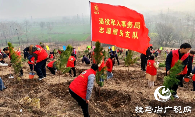 确山：又是一年植树时