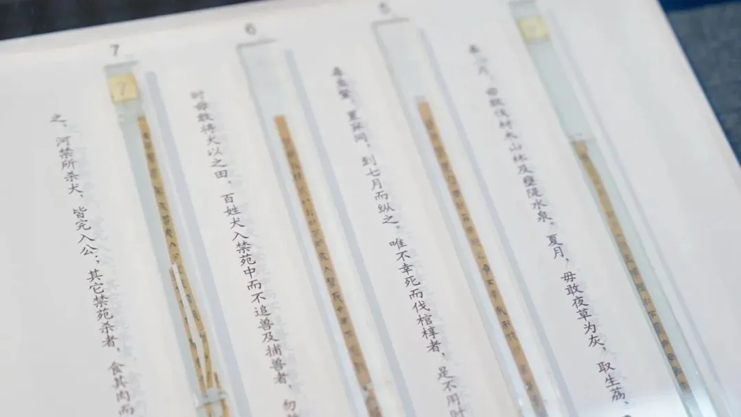 文博日历丨2000多年前的“生态保护法”刻在了竹简上