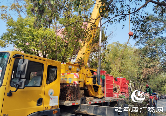  西平县园林绿化中心春季补植活动启动