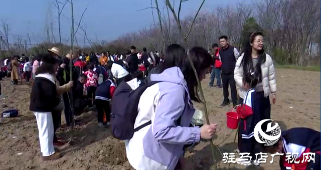 天中生态园亲子植树活动圆满举行 300余组家庭共植绿色希望