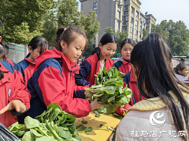 驻马店市第二十八小学举行蔬菜义卖活动