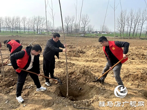 平舆县总工会组织志愿者到大陈洪河桥开展春季植树志愿服务活动