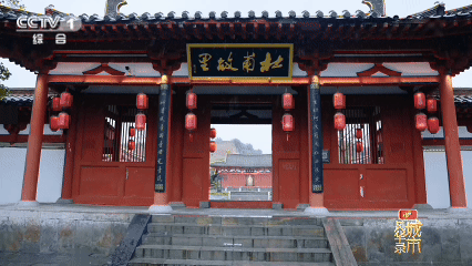 嵩山为脊,黄河为脉!《城市风华录》走进郑州