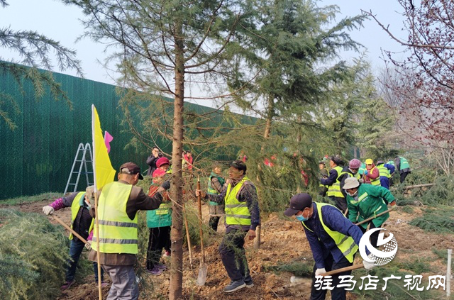  西平县园林绿化中心春季补植活动启动