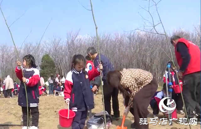 天中生态园亲子植树活动圆满举行 300余组家庭共植绿色希望