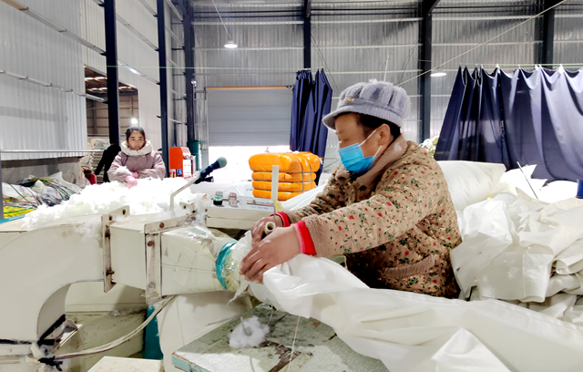 新蔡县黄楼镇：引凤还巢兴产业 返乡创业助振兴