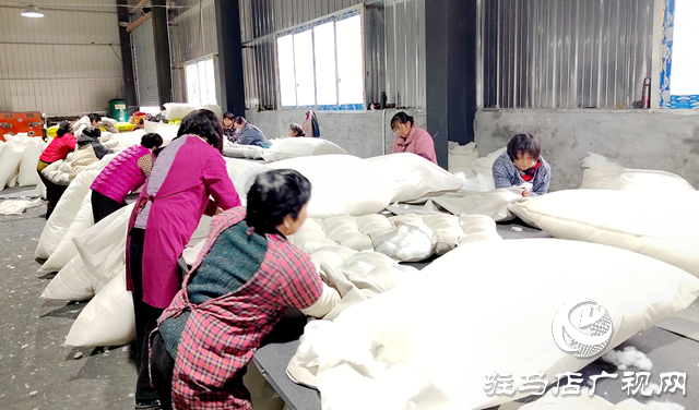 新蔡县黄楼镇:引凤还巢兴产业 返乡创业助振兴