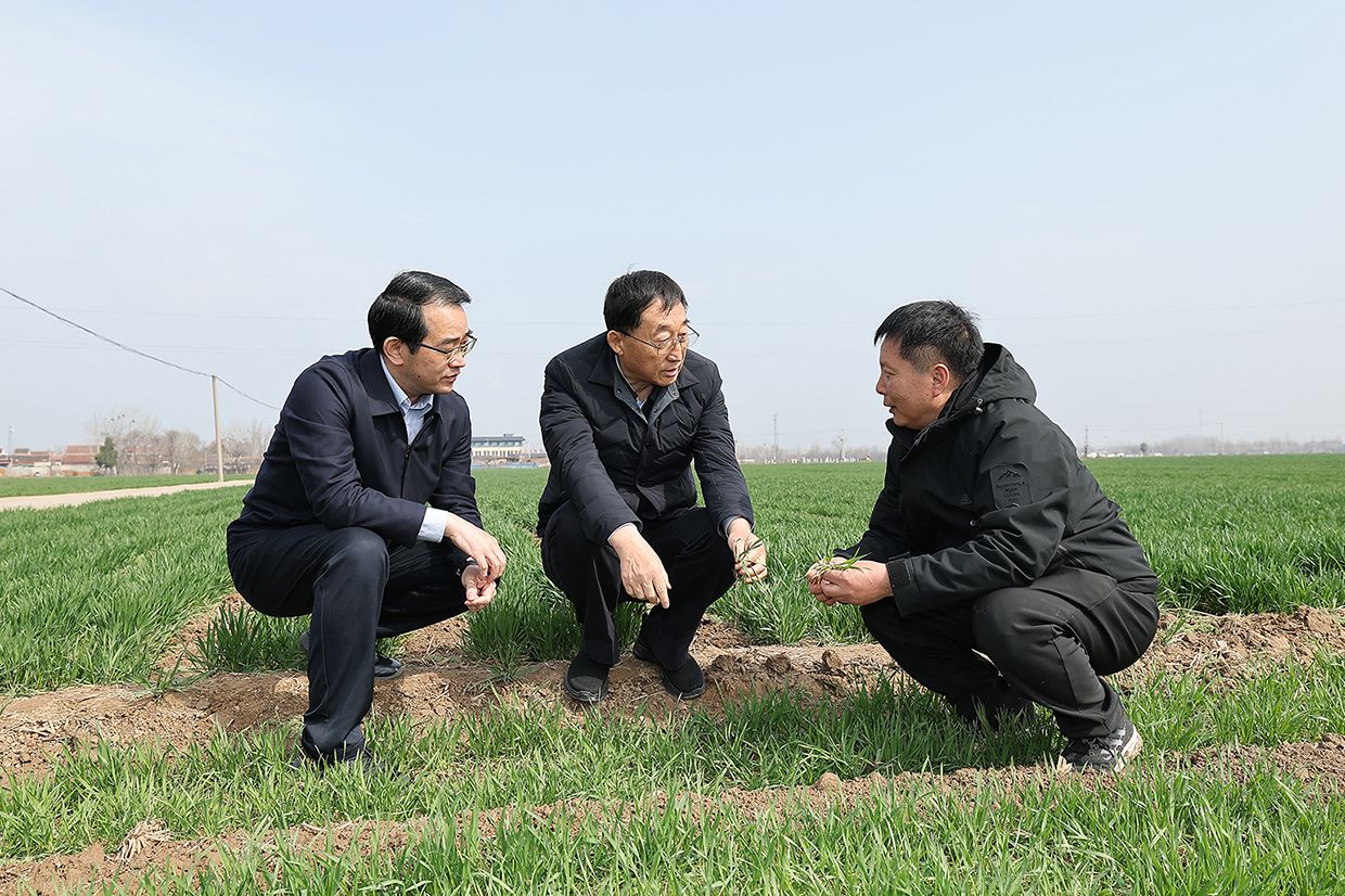 刘宁到内黄县安阳县调研推动工作时强调 毫不放松抓好粮食生产 全力夯实夏粮丰收基础