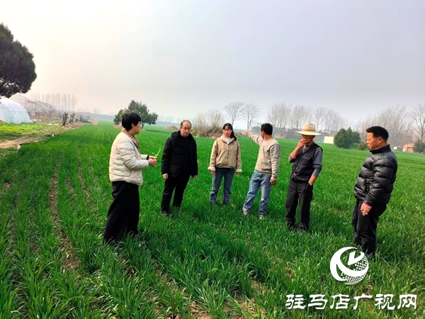 平舆县农业农村局开展高素质农民跟踪服务助力春耕生产提质增效
