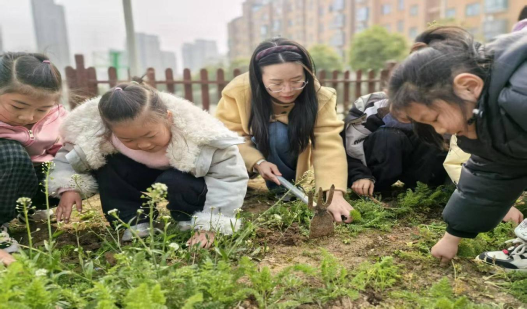 驻马店经济开发区金雀路小学开展“植此青绿承文脉 除草耘耕启新程”春日劳动教育实践活动