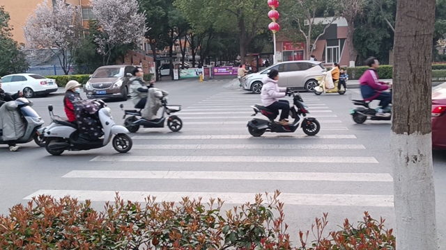 骏马路斑马线设计存隐患 市民呼吁优化改造