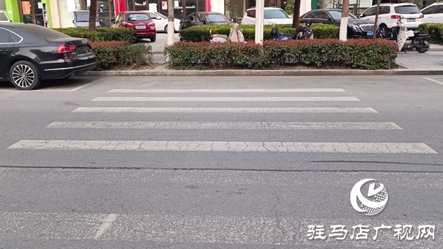 骏马路斑马线设计存隐患 市民呼吁优化改造