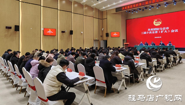共青团驻马店市三届十次全委（扩大）会议召开