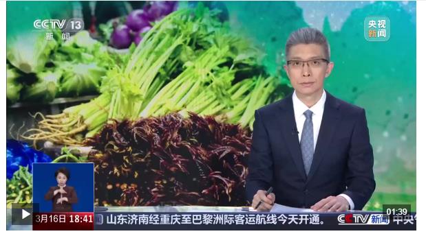 关注·观察：春菜正当季 科技助力解锁“舌尖上的春天”·河南驻马店 少油清淡鲜嫩营养 把春天“蒸”进锅里