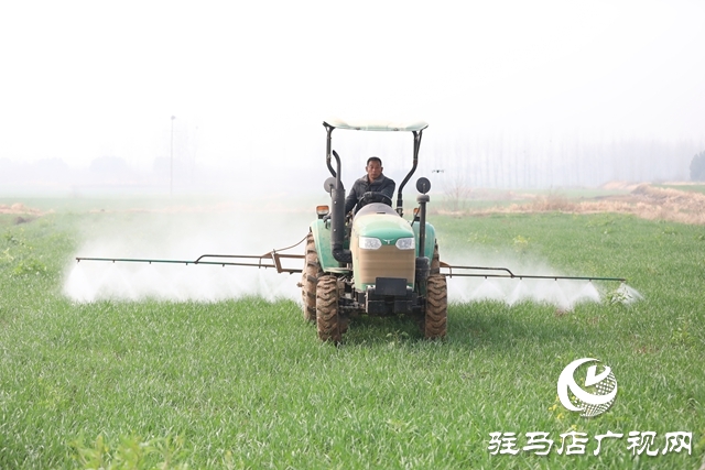 泌阳县：春潮涌动时 田间管护忙