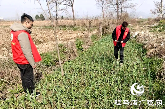 确山县竹沟：禁毒踏查在行动