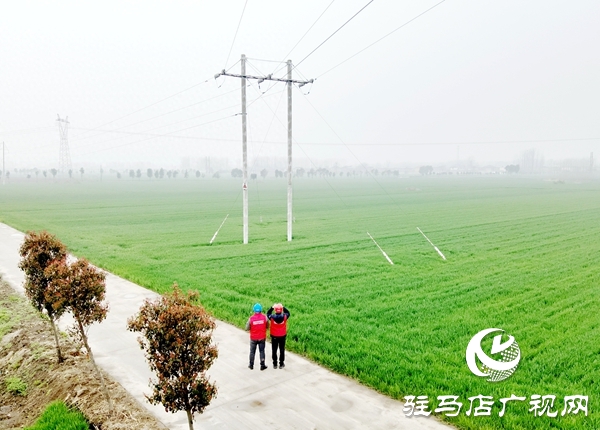 国网平舆县供电公司：人机协同齐上阵 护航春耕“满格电”