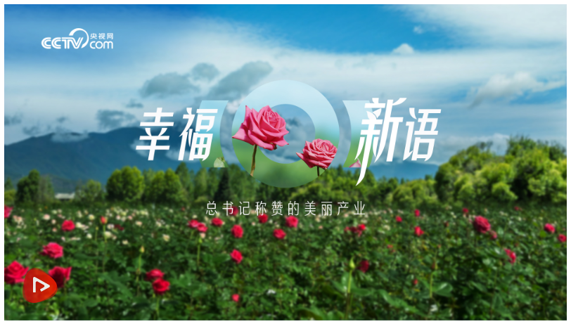 时政微纪录｜幸福新语——总书记称赞的美丽产业