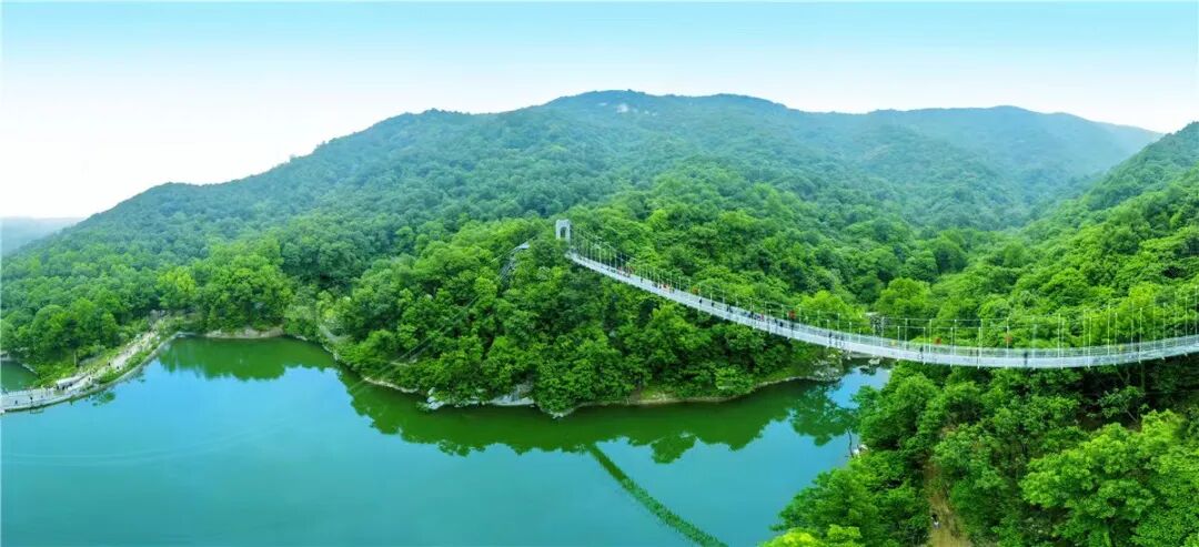 诗意天中 | 登山赏花观云，赏春光无限...