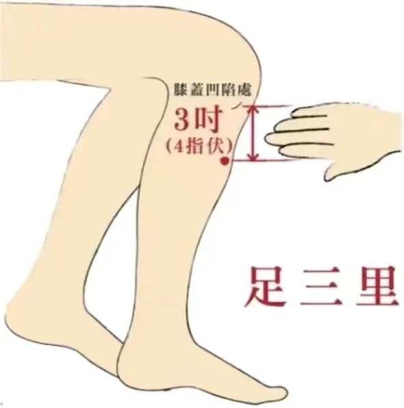 春季养肝正当时，肝好脾胃才健康！