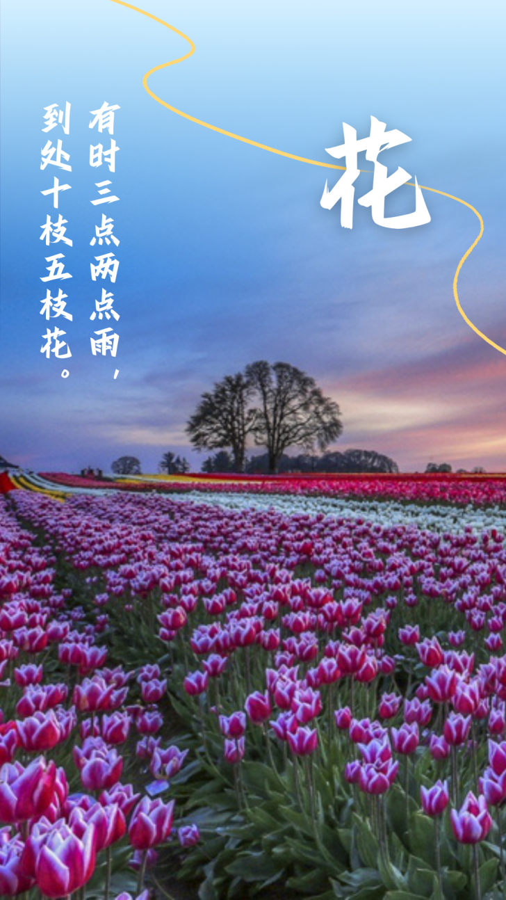 诗意天中 | 登山赏花观云，赏春光无限...