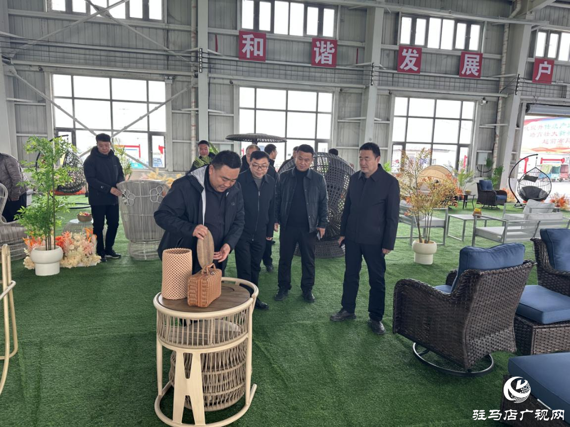 平舆县射桥镇：对标先进拓思路 聚力攻坚建“三园”
